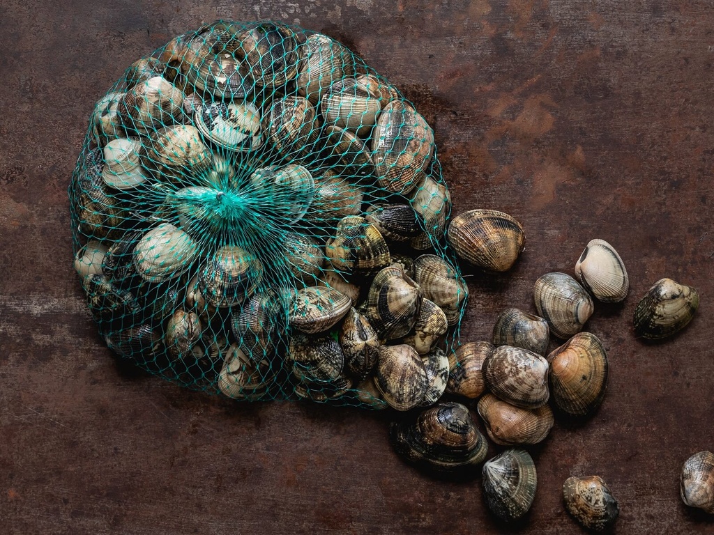 Vongole - 1kg