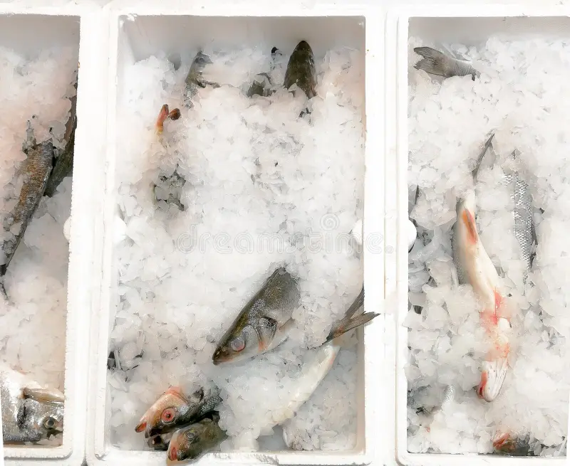  Sea ​​bass fillet 80-120gr - box 5kg Frozen