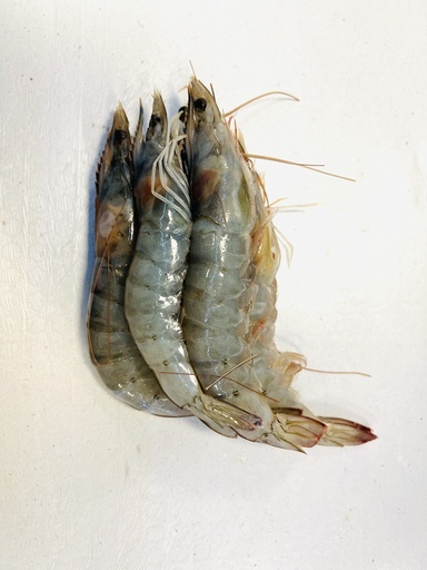 Fresh Prawns