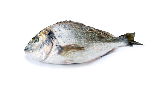 Royal sea bream 400-600 gr