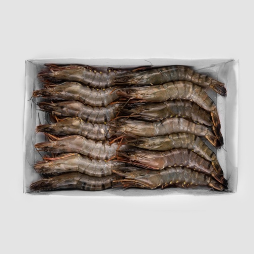 GAMBA 6/8 BLACK TIGER - 80% - 1KG